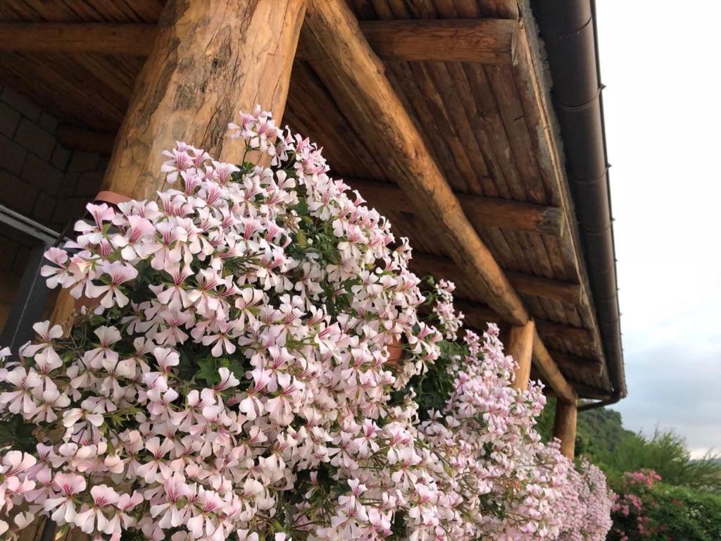 Le Rocce Bed and Breakfast SantʼAgata deʼ Goti Exteriör bild